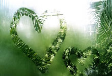 开云体育APP下载-马刺速胜辽宁队，小贾伦成为关键先生