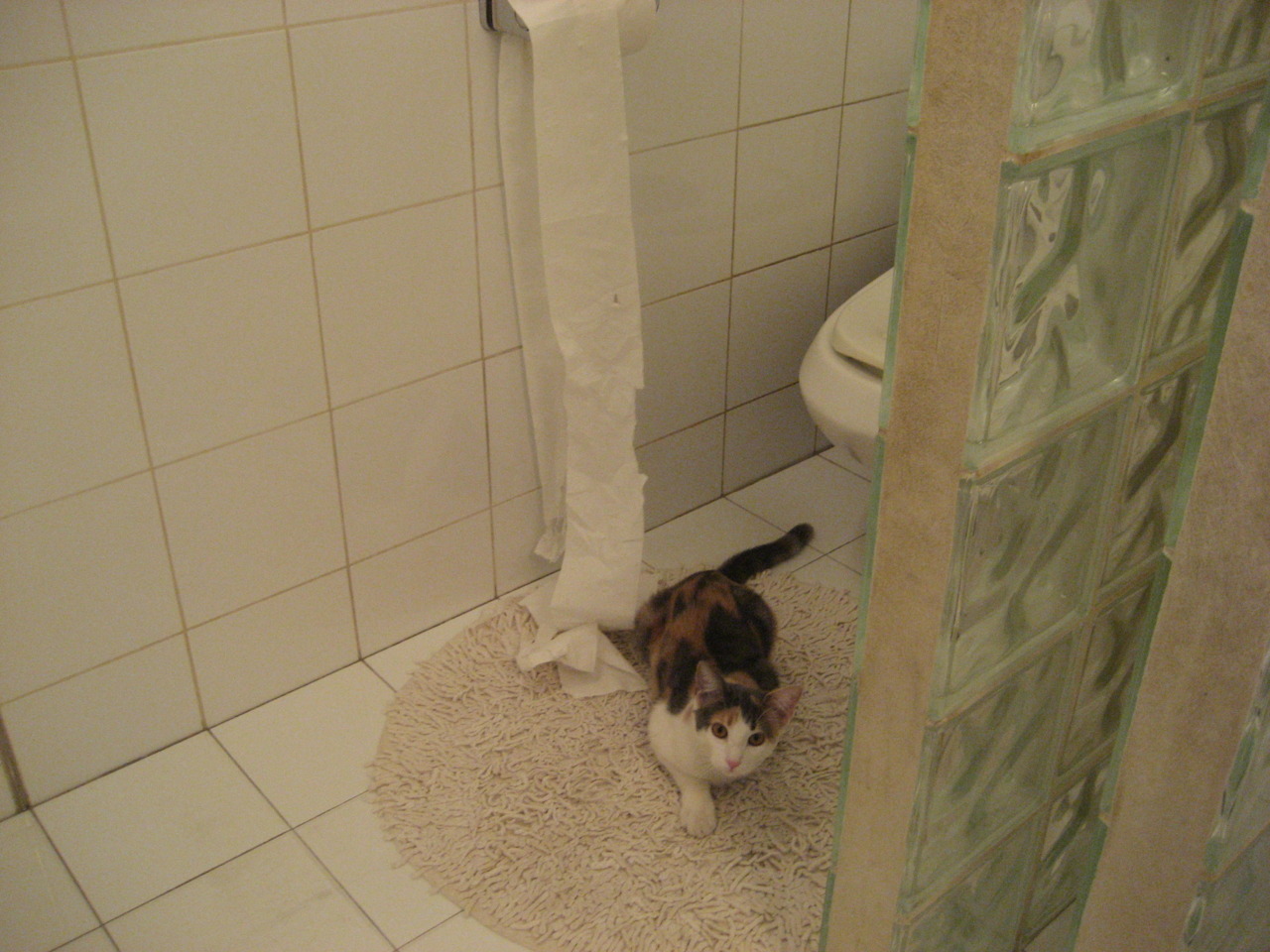 杜兰特冷血一击定乾坤，开拓者爆冷勇士背后的战术密码